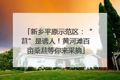新乡平原示范区：“葚”是诱人！黄河滩百亩桑葚等你来采摘