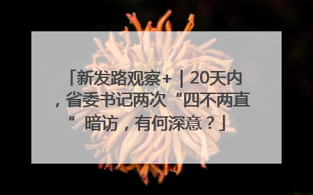 新发路观察+｜20天内，省委书记两次“四不两直”暗访，有何深意？