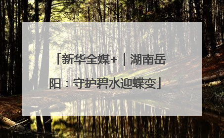 新华全媒+｜湖南岳阳：守护碧水迎蝶变