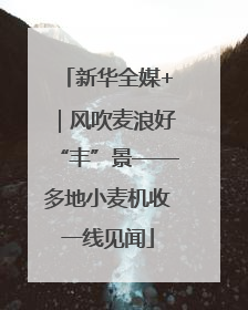新华全媒+｜风吹麦浪好“丰”景——多地小麦机收一线见闻