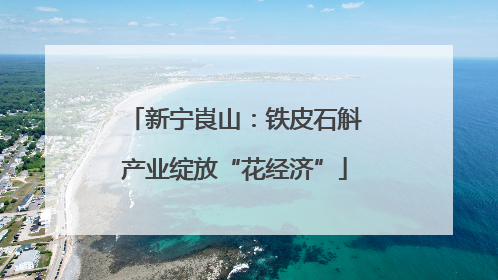 新宁崀山：铁皮石斛产业绽放“花经济”