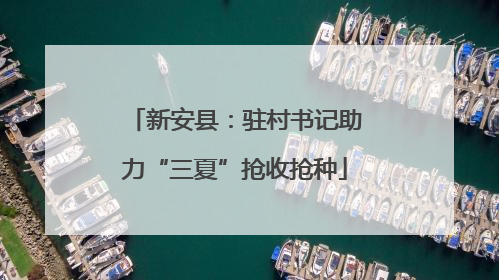 新安县：驻村书记助力“三夏”抢收抢种