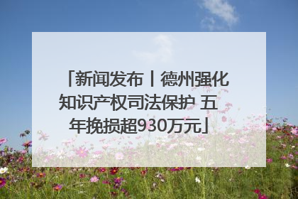 新闻发布丨德州强化知识产权司法保护 五年挽损超930万元