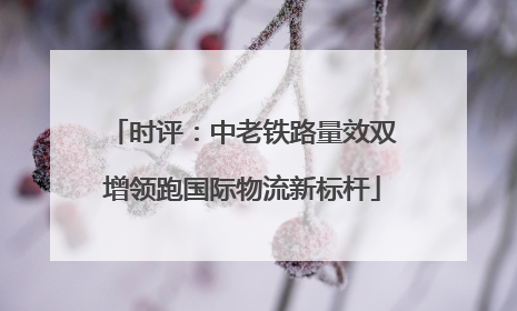 时评：中老铁路量效双增领跑国际物流新标杆