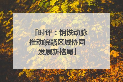 时评：钢铁动脉推动皖赣区域协同发展新格局