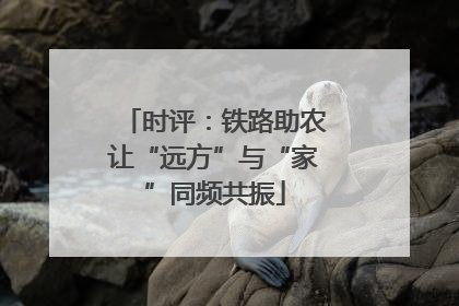 时评：铁路助农让“远方”与“家”同频共振