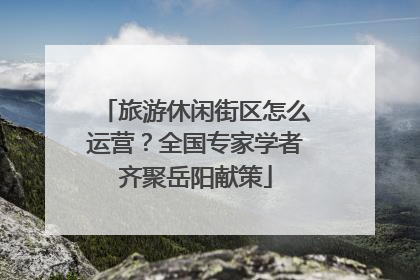 旅游休闲街区怎么运营？全国专家学者齐聚岳阳献策