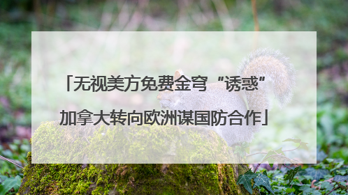 无视美方免费金穹“诱惑” 加拿大转向欧洲谋国防合作