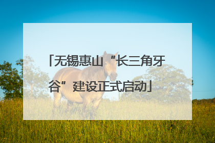 无锡惠山“长三角牙谷”建设正式启动
