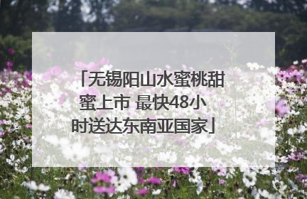 无锡阳山水蜜桃甜蜜上市 最快48小时送达东南亚国家