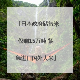 日本政府储备米仅剩15万吨 紧急进口国外大米