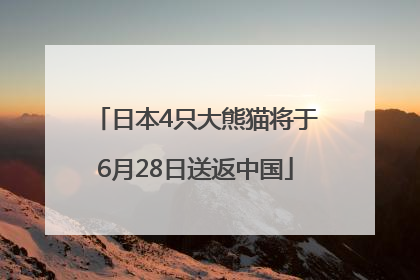 日本4只大熊猫将于6月28日送返中国