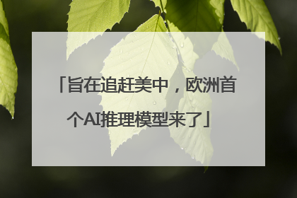旨在追赶美中，欧洲首个AI推理模型来了