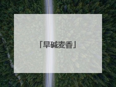 旱碱麦香