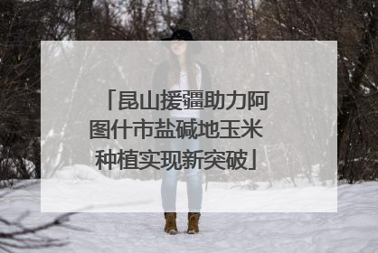 昆山援疆助力阿图什市盐碱地玉米种植实现新突破