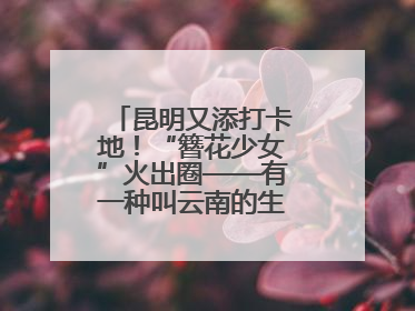 昆明又添打卡地！“簪花少女”火出圈——有一种叫云南的生活之365天