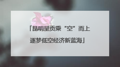 昆明呈贡乘“空”而上 逐梦低空经济新蓝海
