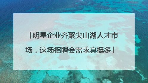 明星企业齐聚尖山湖人才市场，这场招聘会需求真挺多
