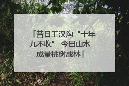 昔日王汉沟“十年九不收” 今日山水成景桃树成林
