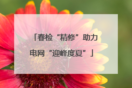 春检“精修”助力电网“迎峰度夏”