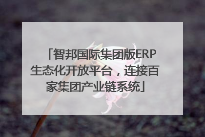智邦国际集团版ERP生态化开放平台，连接百家集团产业链系统