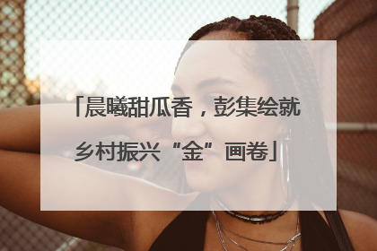 晨曦甜瓜香，彭集绘就乡村振兴“金”画卷