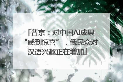 普京：对中国AI成果“感到惊喜”，俄民众对汉语兴趣正在增加