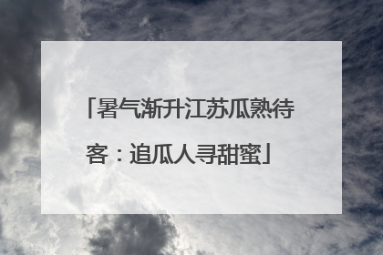 暑气渐升江苏瓜熟待客：追瓜人寻甜蜜