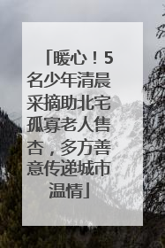 暖心！5名少年清晨采摘助北宅孤寡老人售杏，多方善意传递城市温情