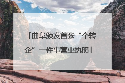 曲阜颁发首张“个转企”一件事营业执照