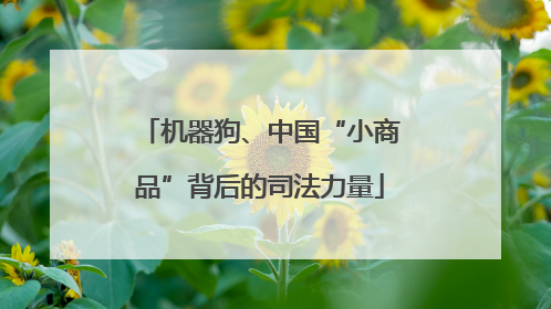 机器狗、中国“小商品”背后的司法力量