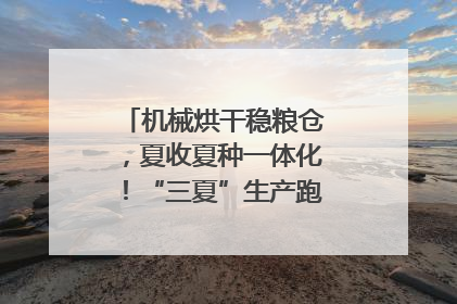 机械烘干稳粮仓，夏收夏种一体化！“三夏”生产跑出加速度｜麦报