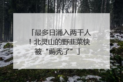 最多日涌入两千人！北灵山的野韭菜快被“薅秃了”