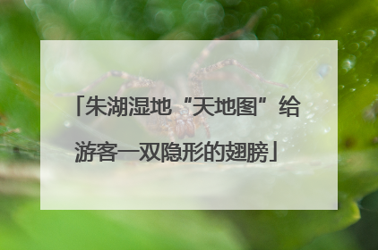 朱湖湿地“天地图”给游客一双隐形的翅膀