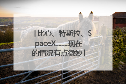 比心、特斯拉、SpaceX……现在的情况有点微妙
