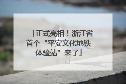 正式亮相！浙江省首个“平安文化地铁体验站”来了