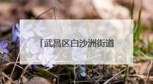 武昌区白沙洲街道：趣味运动“点燃”居民健身热情