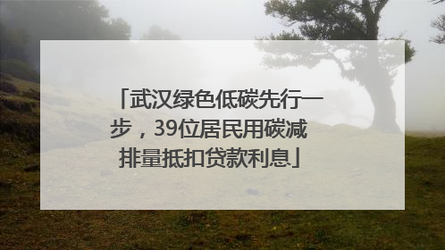 武汉绿色低碳先行一步，39位居民用碳减排量抵扣贷款利息