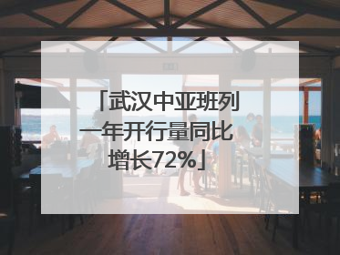 武汉中亚班列一年开行量同比增长72%