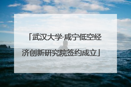 武汉大学·咸宁低空经济创新研究院签约成立