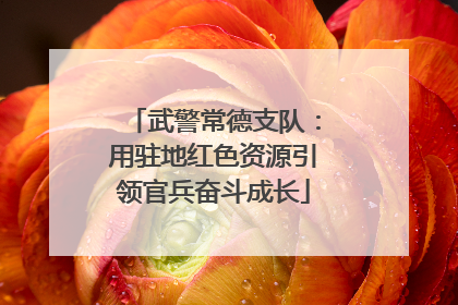 武警常德支队：用驻地红色资源引领官兵奋斗成长
