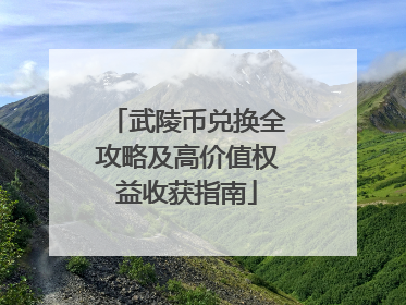 武陵币兑换全攻略及高价值权益收获指南