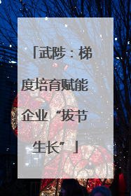 武陟：梯度培育赋能企业“拔节生长”