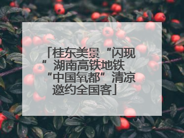 桂东美景“闪现”湖南高铁地铁 “中国氧都”清凉邀约全国客