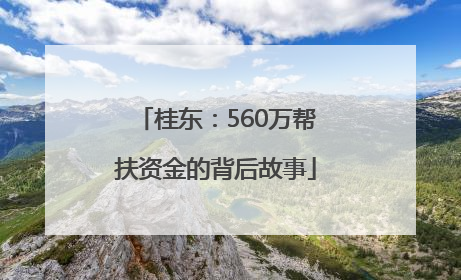 桂东：560万帮扶资金的背后故事