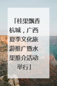 桂果飘香杭城，广西夏季文化旅游推广暨水果推介活动举行