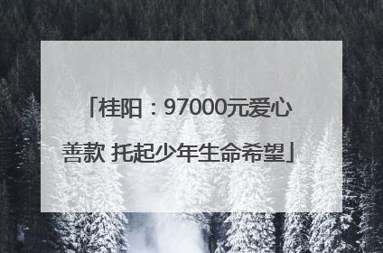 桂阳：97000元爱心善款 托起少年生命希望
