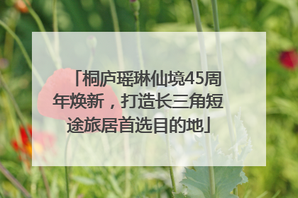 桐庐瑶琳仙境45周年焕新，打造长三角短途旅居首选目的地