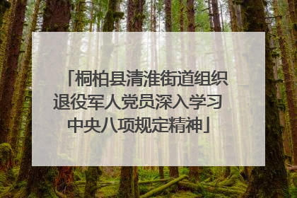 桐柏县清淮街道组织退役军人党员深入学习中央八项规定精神