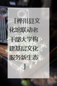 桦川县文化馆联动老干部大学构建基层文化服务新生态